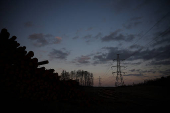 Across Poland's Suwalki Gap, young far-right voters hope a presidential election due in May will turn the nation's policy focus inward, away from the Ukraine war and global politics
