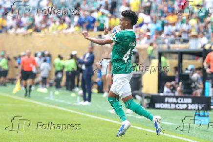 Partida entre Palmeiras e Botafogo no Mundial de Clubes da fifa