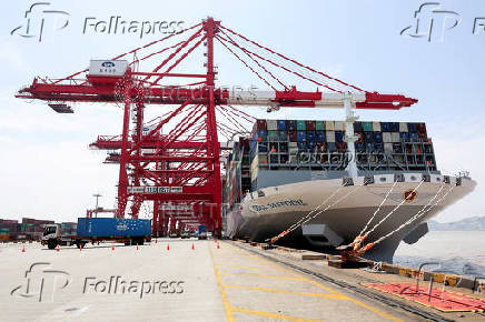 FILE PHOTO: A container ship OOCL Daffodil is docked at Yangshan Port outside of Shanghai