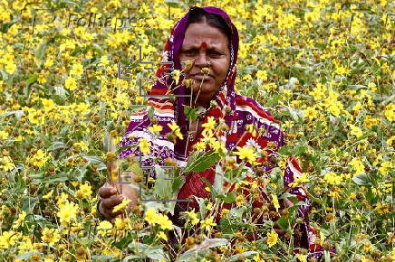 Krishi Mela 2025 in Bangalore