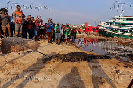 Especial - seca no Amazonas