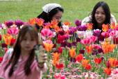 A woman poses next to blooming flowers in Victoria Embankment Gardens, London