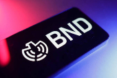 Illustration shows BND (Bundesnachrichtendienst) logo