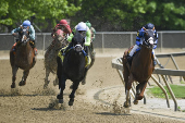 Horse Racing: Black-Eyed Susan