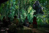 Press preview of the immersive experience 'Our Story with David Attenborough' at the Natural History Museum, in London
