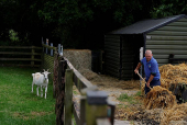A farmer moves hay, in Lullymore
