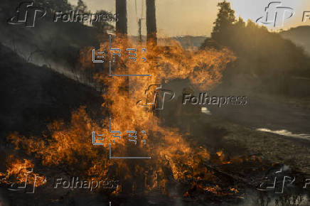 Incendio forestal en Monterrei (Ourense)