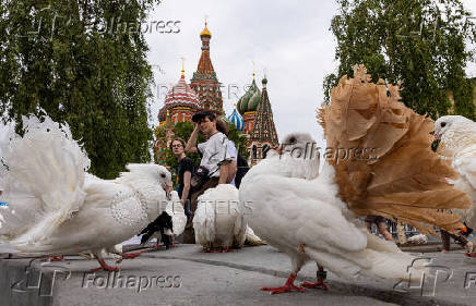 People look at pigeons sitting on a bench with Saint Basil?s Cathedral seen in the background in Moscow