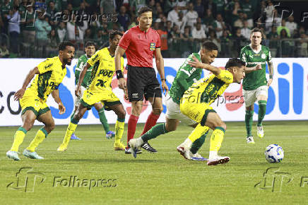 Match between Palmeiras and Mirassol for the Brazilian football championship