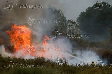 Wildfire on the outskirts of Abejera de Tabara