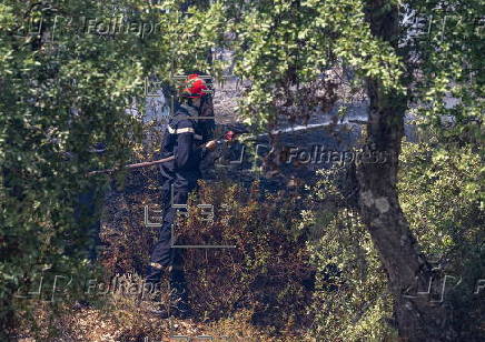 Wildfires break out in Morocco