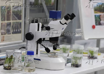 A view of inside the International Atomic Energy Agency (IAEA) laboratories in Seibersdorf