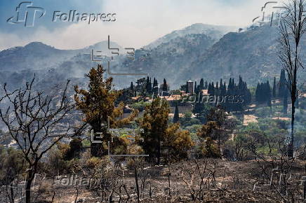 Wildfires continue to rage on Greek island of Chios