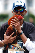“El gallo nace para pelear”, exclaman miles de mexicanos en defensa de esta tradición