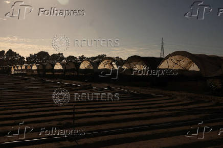 Plastic-covered crop tunnels at a farm in Oxnard