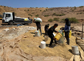 Palestinians accuse settlers of slaughtering their sheep