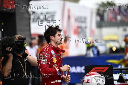 Formula One Hungarian Grand Prix - Practice and Qualifying