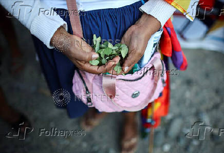 Inside a coca farm and market in Bolivia's countryside ahead of the general election