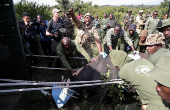 KWS rangers translocate endangered black rhinos from the Ol Pejeta Conservancy to establish a new breeding population at the Segera Conservancy in Laikipia