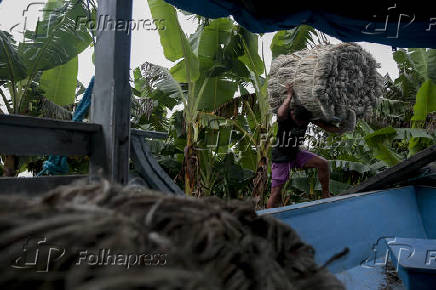 AMAZONAS, CHEIA DO RIO SOLIMOES