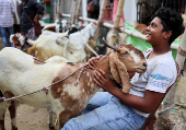 A vendor plays with a goat for sale as he waits for customers inside a livestock market ahead of the Eid al-Adha festival in Kolkata