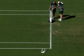 Wimbledon