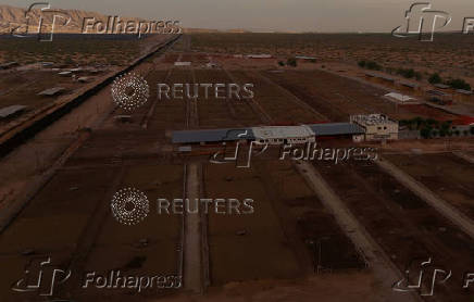 U.S. halts Mexican cattle imports over screwworm outbreak