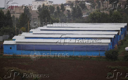 Ethiopians tackle food prices with small-scale poultry farms