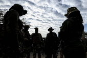 Translocation of endangered black rhinos to Segera Conservancy in Kenya