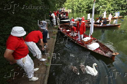 Annual swan upping ceremony along the River Thames