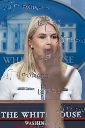 White House Press Secretary Leavitt speaks on Epstein files