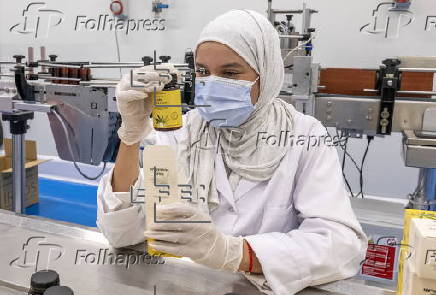 Marruecos legaliza el cultivo de cannabis para uso medicinal e industrial