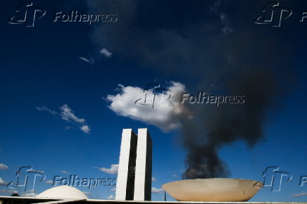 SENADO