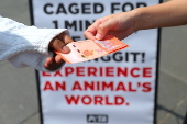 PETA offers 10 MYR (Malaysia Ringgit) or 02 Euro to be caged like an animal for one minute in launch of worldwide campaign in Kuala Lumpur