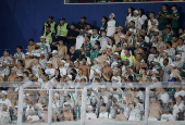 Copa Libertadores - Group Stage - Cerro Porteno v Palmeiras