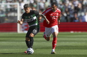 Portuguese Cup Final - Benfica vs Sporting