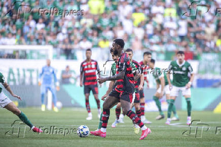 PALMEIRAS X FLAMENGO ? CAMPEONATO BRASILEIRO SERIE A 2025PALMEIRAS X FLAMENGO ? CAMPEONATO BRASILEIRO SERIE A 2025
