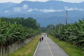 Chiquita Panama announces mass firing of banana workers after strike, in Changuinola