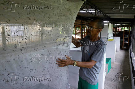 Cuban doctor builds insect farm to ease feed shortages and cut waste