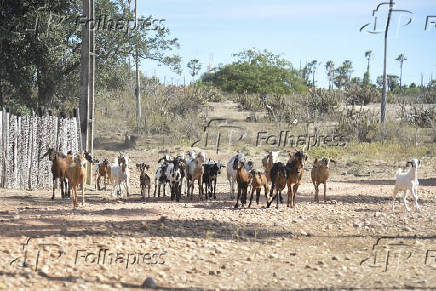 Agropecuaria