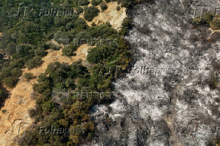 Wildfire burns houses, factories forcing evacuations near Patras