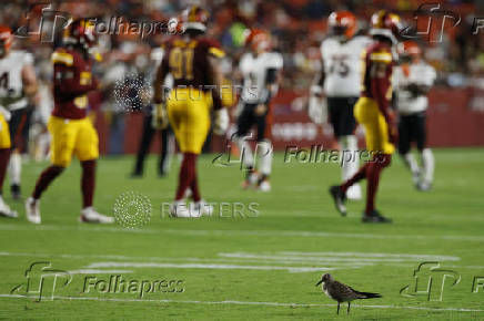 NFL: Cincinnati Bengals at Washington Commanders