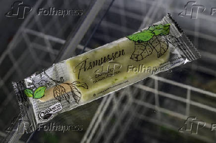 Picolé de frutas naturais da Mata Atlântica, pela Agro Asmussen