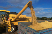 Soybean harvest in Rio Grande do Sul state, Brazil