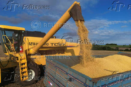 Soybean harvest in Rio Grande do Sul state, Brazil