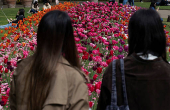 People look at blooming flowers in Victoria Embankment Gardens, London