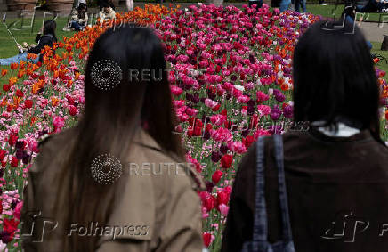 People look at blooming flowers in Victoria Embankment Gardens, London