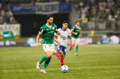 Partida entre Palmeiras e Bahia pelo Campeonato Brasileiro