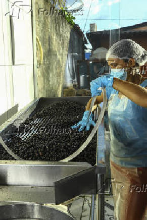 Frutos do açaí sendo lavados em fábrica em Boa Vista (RR)
