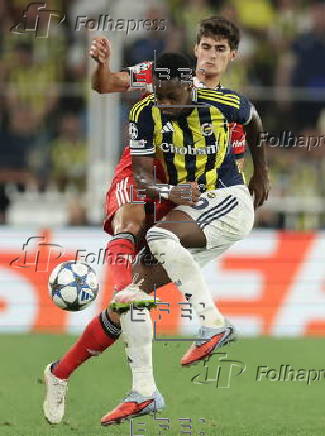 UEFA Champions League play-offs - Fenerbahce vs Benfica